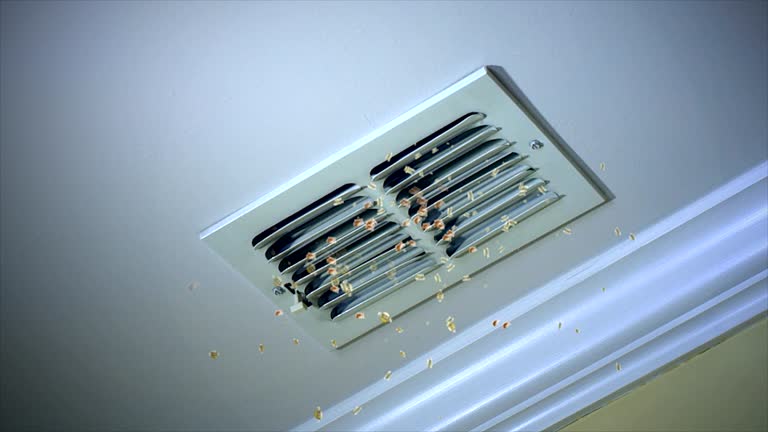 Best Dryer Vent Cleaning Services  in Hurley, NM