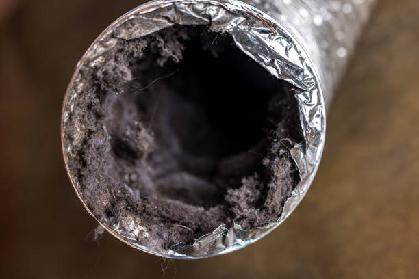 Best Professional Duct Cleaning Services  in Hurley, NM