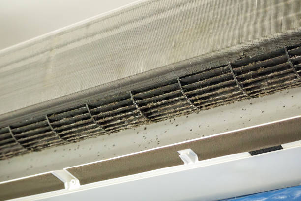 Best Air Duct Cleaning Near Me  in Hurley, NM